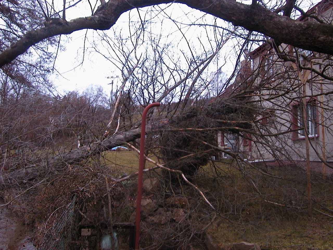 emma-2008