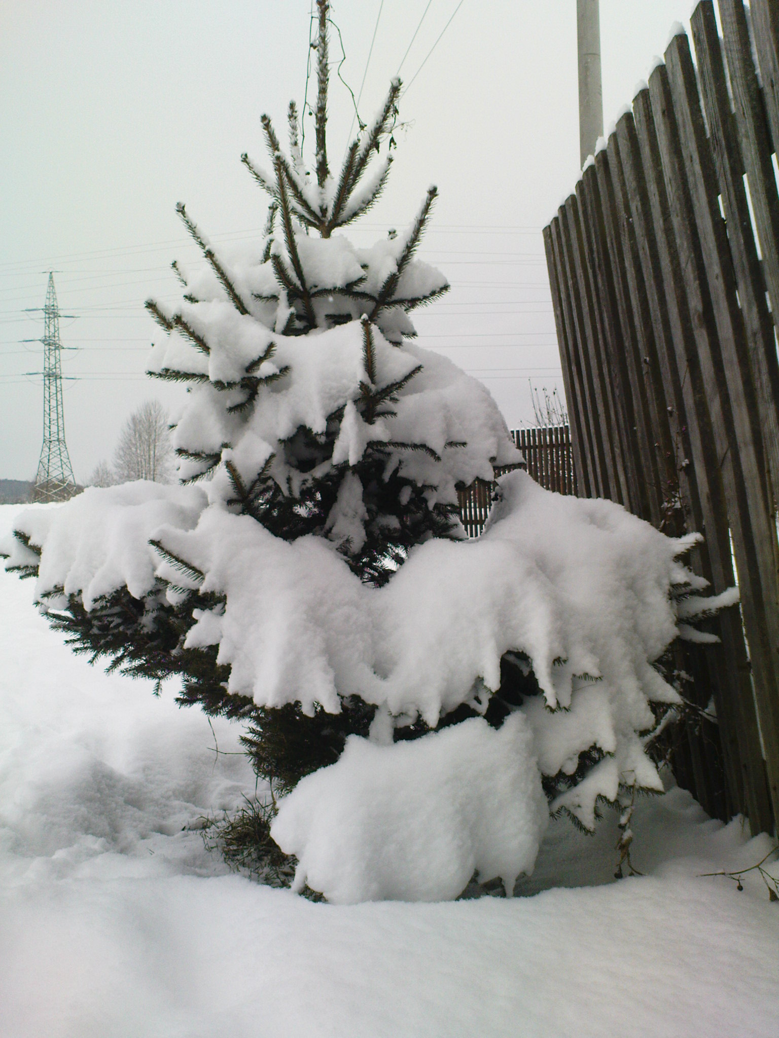 tuha-zima-2010--2-