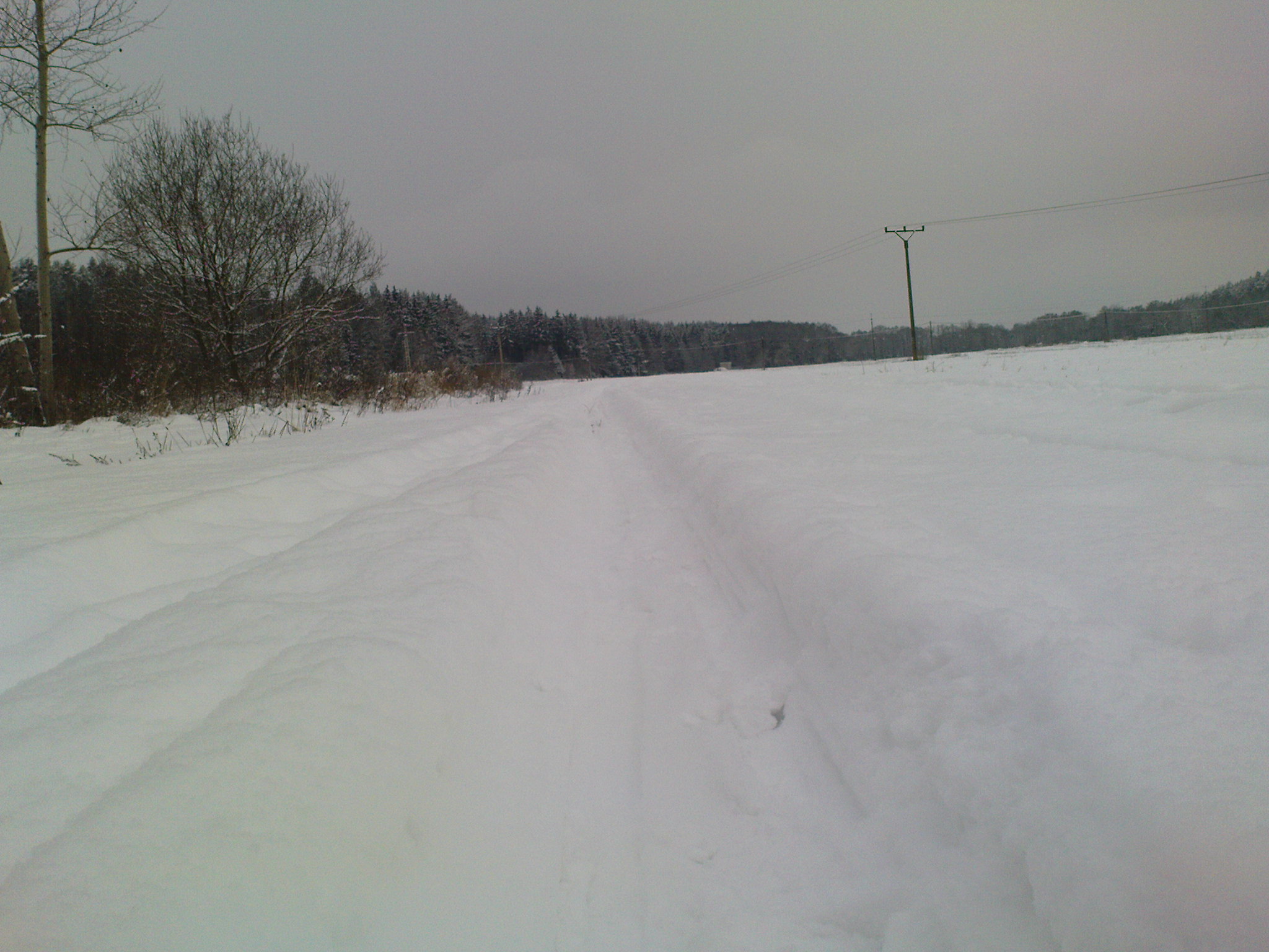 tuha-zima-2010--3-