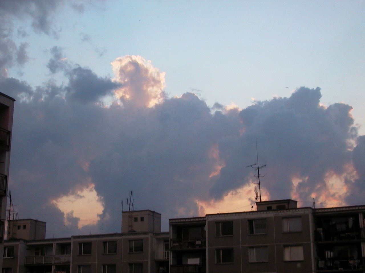 aut_4416