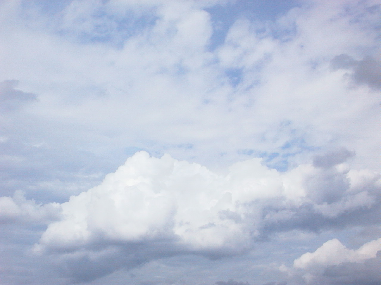 cumulus--1-