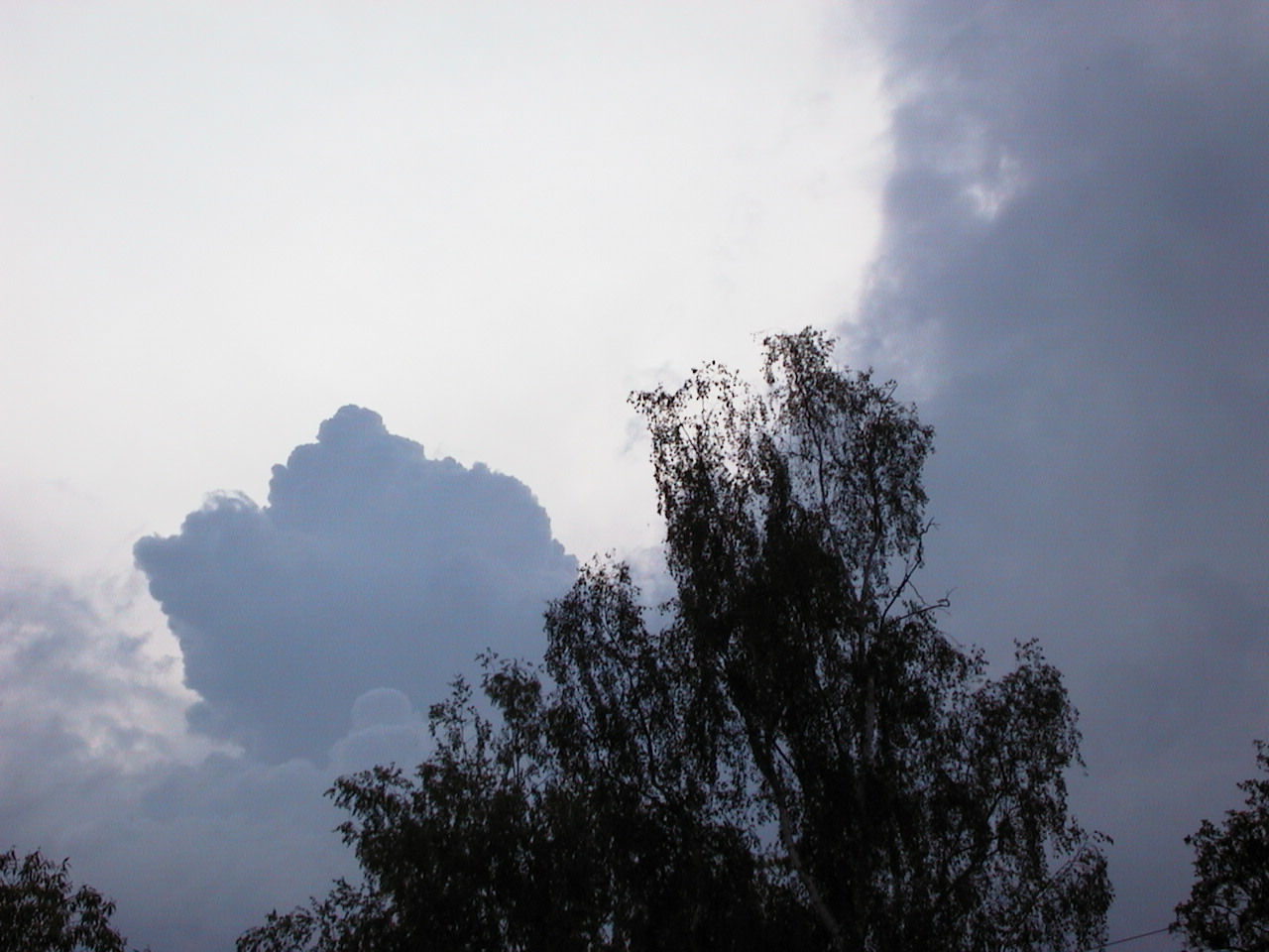 cumulus--7-