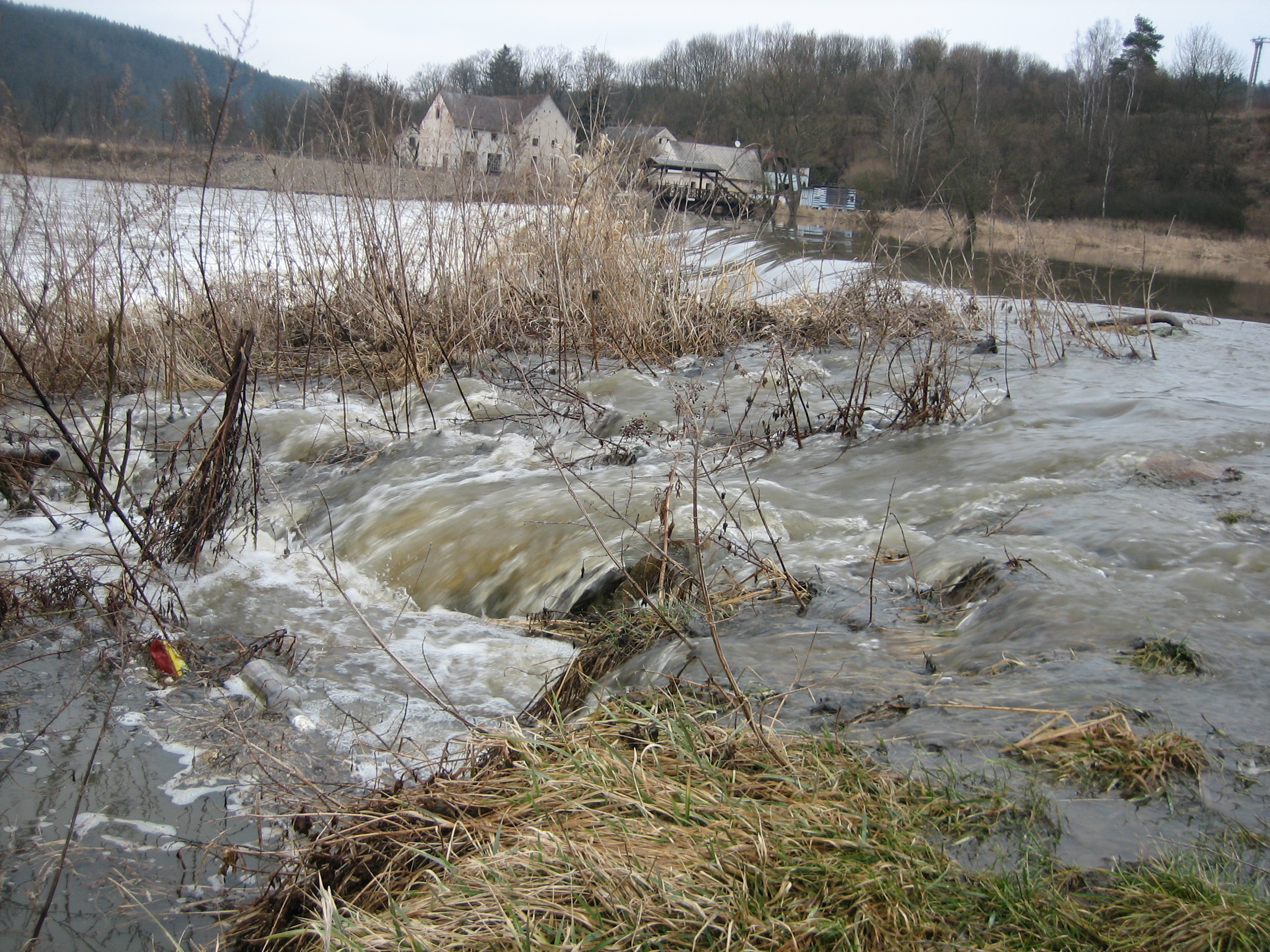 tani--jaro-2009--3-