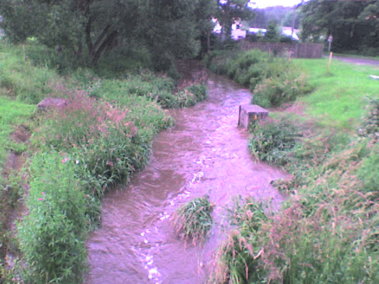 po-bource-leto-2009